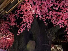 -韵秋荷(宝山龙湖天街店)