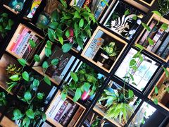 -ZING COFFEE 镜咖啡