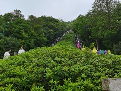 -梧桐山风景名胜区