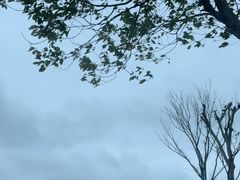 -春花秋色城市公园