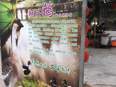 -新合益乡村农庄