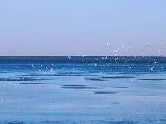 -天津东疆湾沙滩景区
