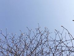 -金钉子远古世界景区
