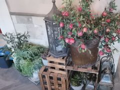 -前海沿·青岛菜(李沧万达店)