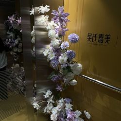 -云南吴氏嘉美医疗美容医院