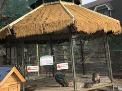 -天毓山庄·餐厅