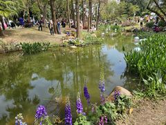 -人民公园(罗湖区)