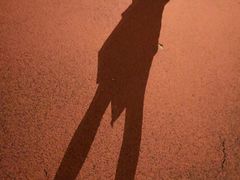 -复旦大学正大集团体育馆