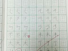 -赵汝飞练字硬笔书法(静安寺校区)