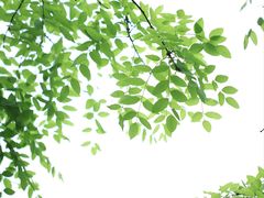 -白塘生态植物园