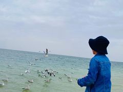 -西台吉乃尔湖