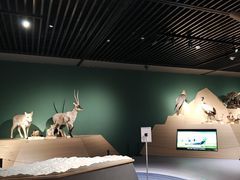 -中国湿地博物馆