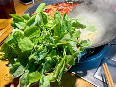 -阳阳老火锅(小南门店)