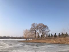 -东郊湿地公园