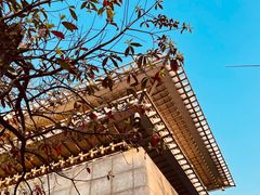 -临平公园(临平街道)