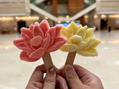 -宁夏博物馆