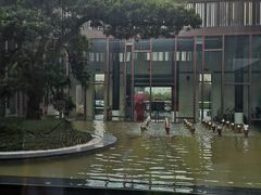 -上海崇明金茂凯悦酒店