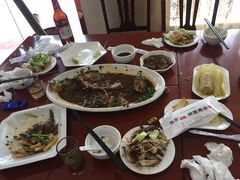-品雅轩农家乐