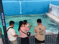 -蓬莱欧乐堡海洋极地世界