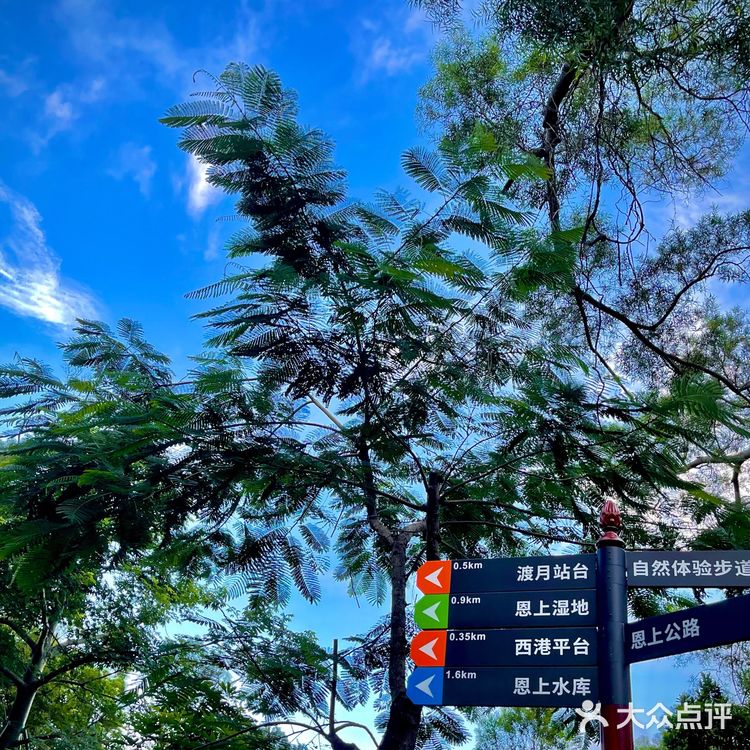 打卡恩上水库 遇见⛰️和🌊