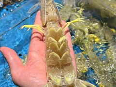 -徐记海鲜(大雁塔|金都店)
