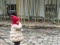 -龙潭水乡