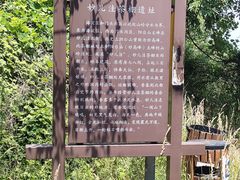 -阳台山自然风景区