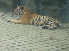 -西安秦岭野生动物园