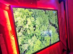 -飞歌e族KTV(雄楚1号店)