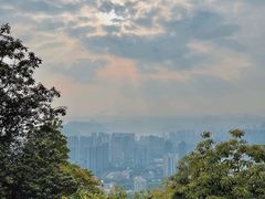 -南山植物园
