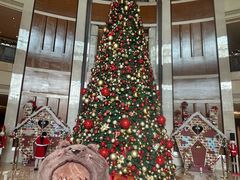 -深圳星河丽思卡尔顿酒店