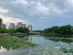 -新江湾城公园