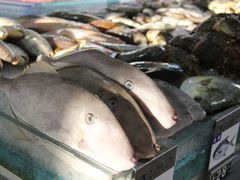 -清水湾3号(东方小周海鲜店)