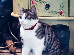 -么么咖啡(燕郊店)