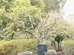 -浙江西子宾馆·牡丹厅