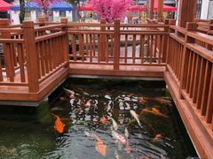 -麦园农庄·西江河鲜