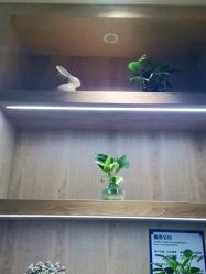 -苑苑vbeauty科技美容SPA