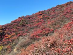 -水峪民俗村
