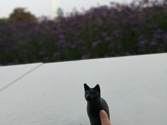 -猫的天空之城概念书店(北戴河蔚蓝海岸店)