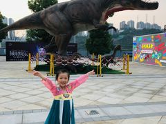 -重庆国际马戏城