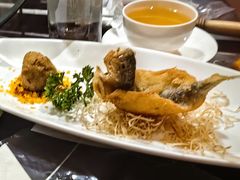 崂山仙胎鱼-中苑海韵
