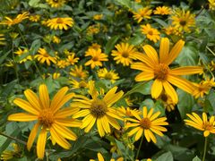 -国家植物园南园