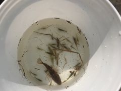 -青山湖科技城户外乐园