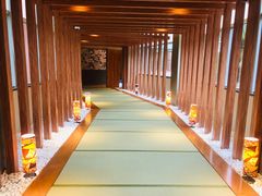 -重庆南山海昌汤都