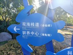 -广东惠东海龟国家级自然保护区