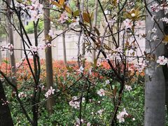 -味多美(鑫都商业广场店)