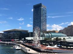 -Pancakes on the rocks(Darling Harbour)