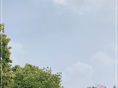 -嘉定紫藤园