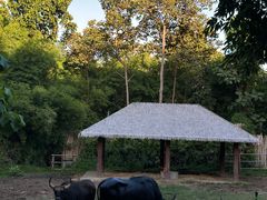 -清迈夜间动物园