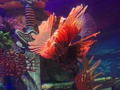 -沈阳海洋探索中心